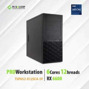 เครื่อง PCG Workstation TSP052-X12SCA-5F, 6C/12T, RX6600